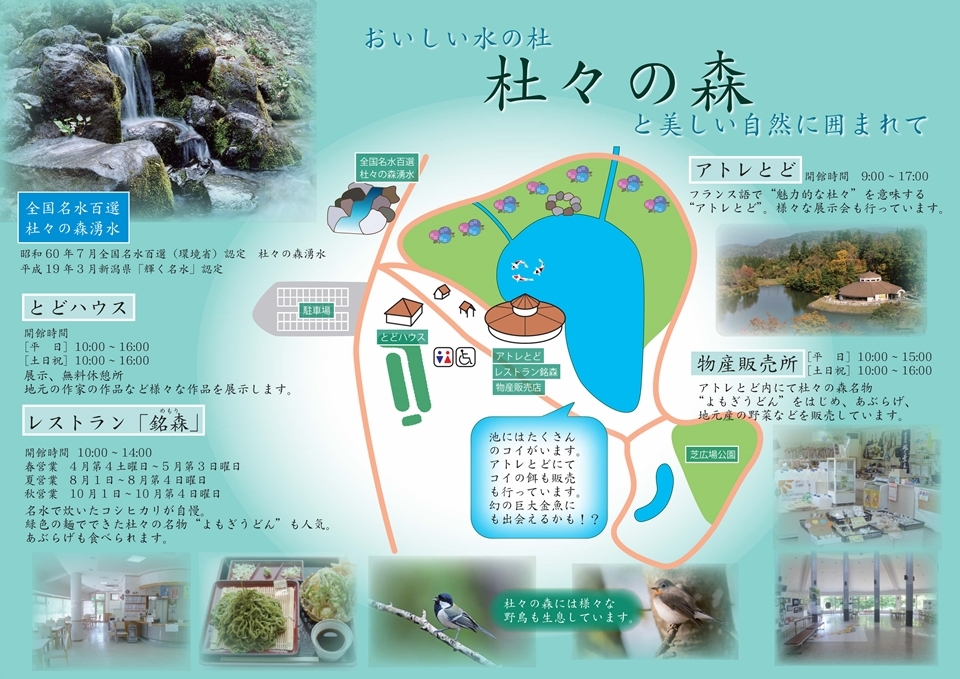 杜々の森パンフレット