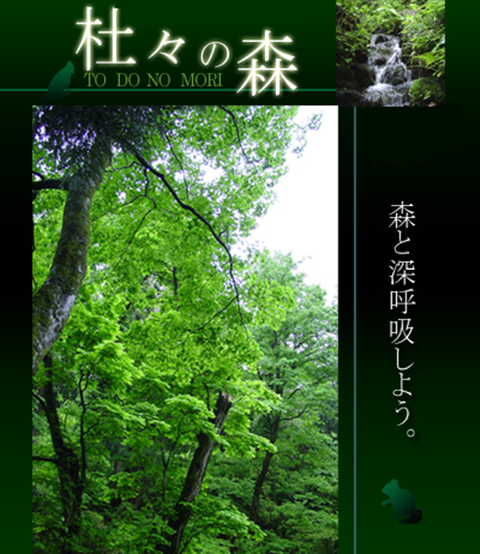 杜々の森イメージ